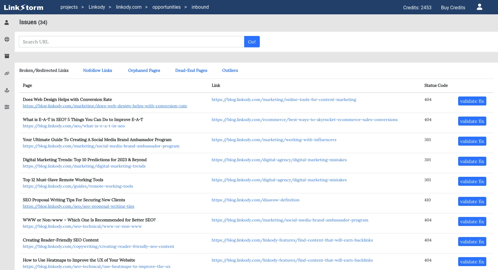 LinkStorm issue reporting interface